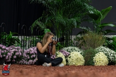 AR300855-29165 AR300855-29165