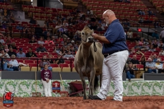 AR300863-29168 AR300863-29168