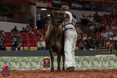 AR300864-29169 AR300864-29169