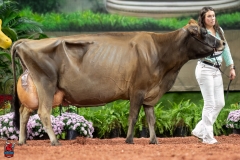 A109386-29544 A109386-29544