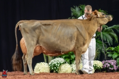 A109390-29545 A109390-29545