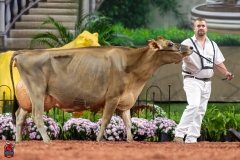 A109406-29546 A109406-29546