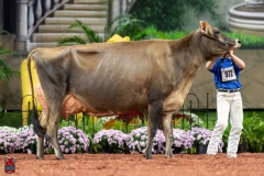 A109416-29547 A109416-29547