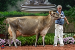 A109446-29549 A109446-29549