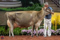 A109457-29550 A109457-29550