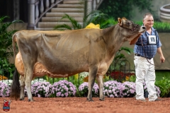 A109463-29551 A109463-29551