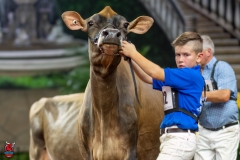 A109470-29553 A109470-29553