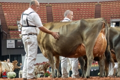 AR308016-29555 AR308016-29555