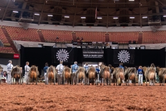 AR308022-29557 AR308022-29557