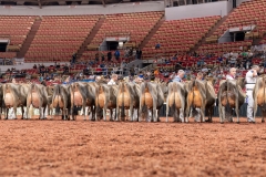 AR308029-29562 AR308029-29562