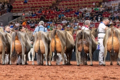 AR308030-29563 AR308030-29563