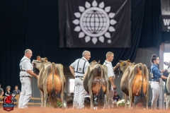 DSC09780-29558 DSC09780-29558