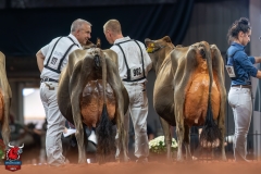 DSC09781-29559 DSC09781-29559