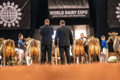 DSC09783-29560 DSC09783-29560