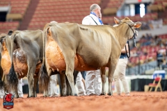 DSC09785-29564 DSC09785-29564