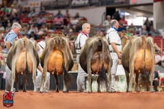 DSC09787-29565 DSC09787-29565