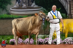 DSC09794-29566 DSC09794-29566