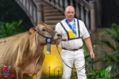 DSC09797-29567 DSC09797-29567