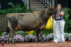 A106809-29203 A106809-29203