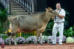 A106815-29204 A106815-29204