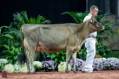 A106822-29205 A106822-29205