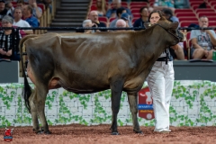 A106840-29208 A106840-29208