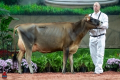 A106862-29211 A106862-29211