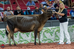 A106866-29212 A106866-29212