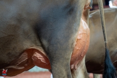 AR301211-29218 AR301211-29218