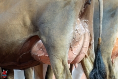 AR301218-29220 AR301218-29220