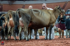 AR301228-29221 AR301228-29221