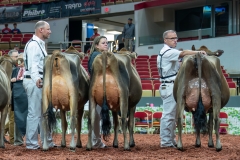 AR301242-29214 AR301242-29214