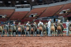 AR301242-29224 AR301242-29224