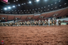 AR301244-29225 AR301244-29225