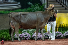 A106798-29202 A106798-29202