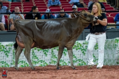 A106832-29206 A106832-29206