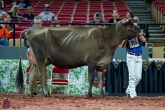 A106836-29207 A106836-29207