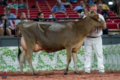 A106845-29209 A106845-29209