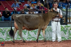 A106882-29213 A106882-29213