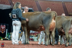 AR301201-29215 AR301201-29215