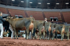 AR301205-29216 AR301205-29216