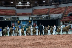 AR301215-29219 AR301215-29219