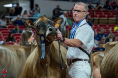 AR301237-29222 AR301237-29222