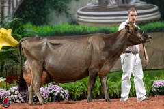 A109500-29571 A109500-29571