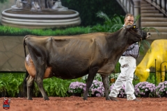 A109537-29574 A109537-29574