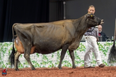 A109546-29576 A109546-29576