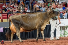 A109568-29578 A109568-29578