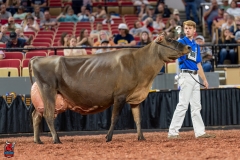 A109588-29579 A109588-29579