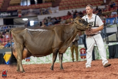 A109612-29581 A109612-29581