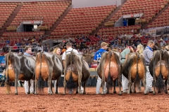 AR309779-29586 AR309779-29586